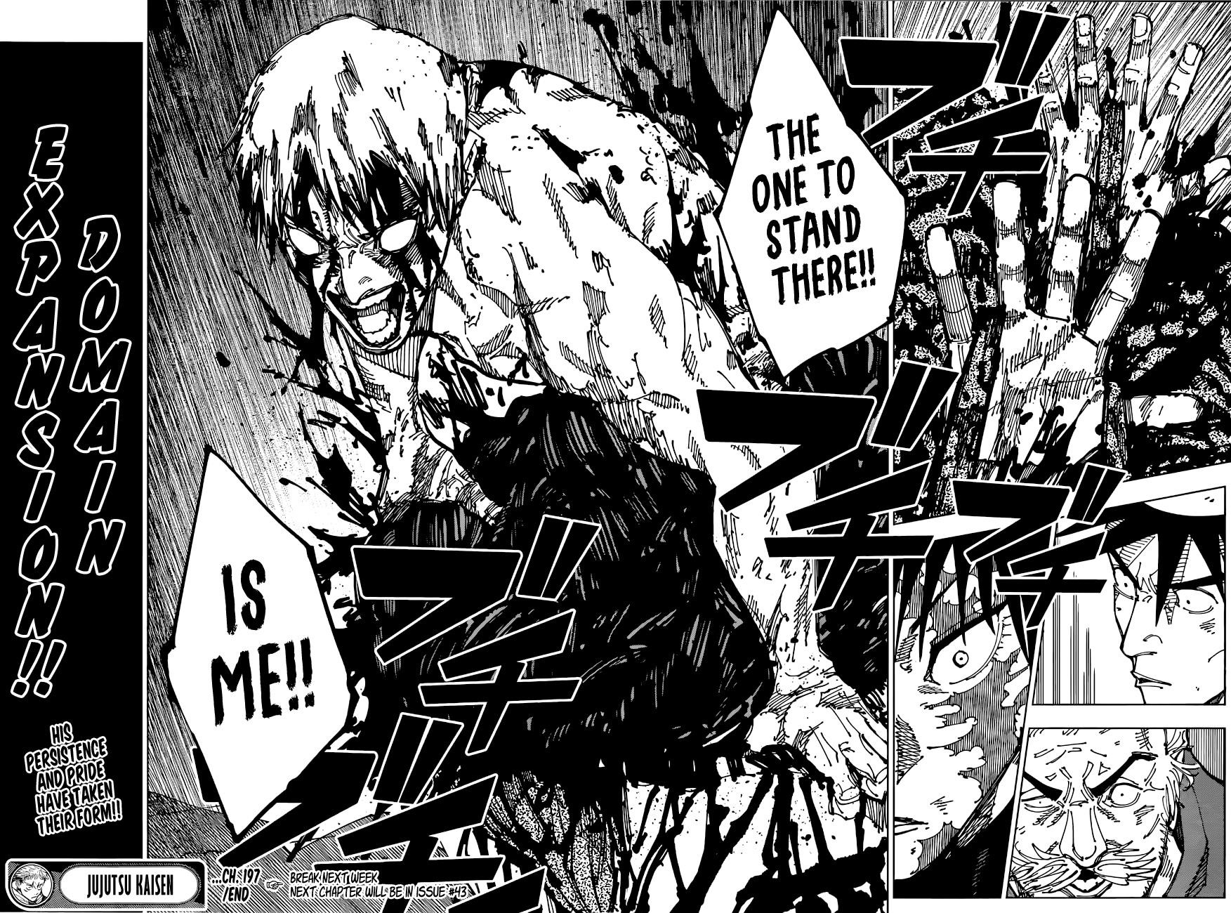 JUJUTSU KAISEN Chapter 197 - Page 16 in English
