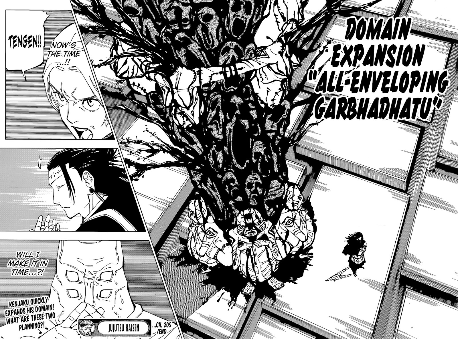 JUJUTSU KAISEN Chapter 205 - Page 16 in English