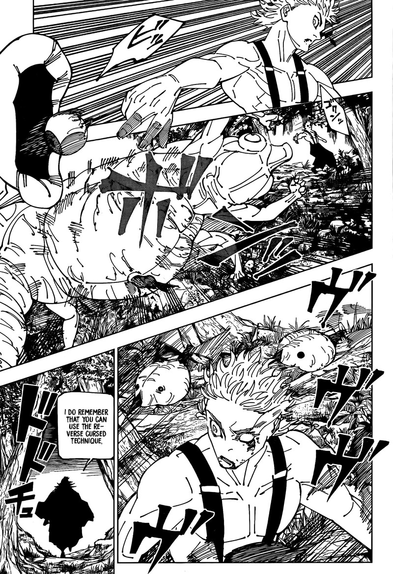 JUJUTSU KAISEN Chapter 239 - Page 13 in English