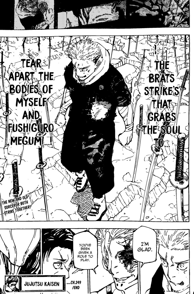 JUJUTSU KAISEN Chapter 249 - Page 17 in English