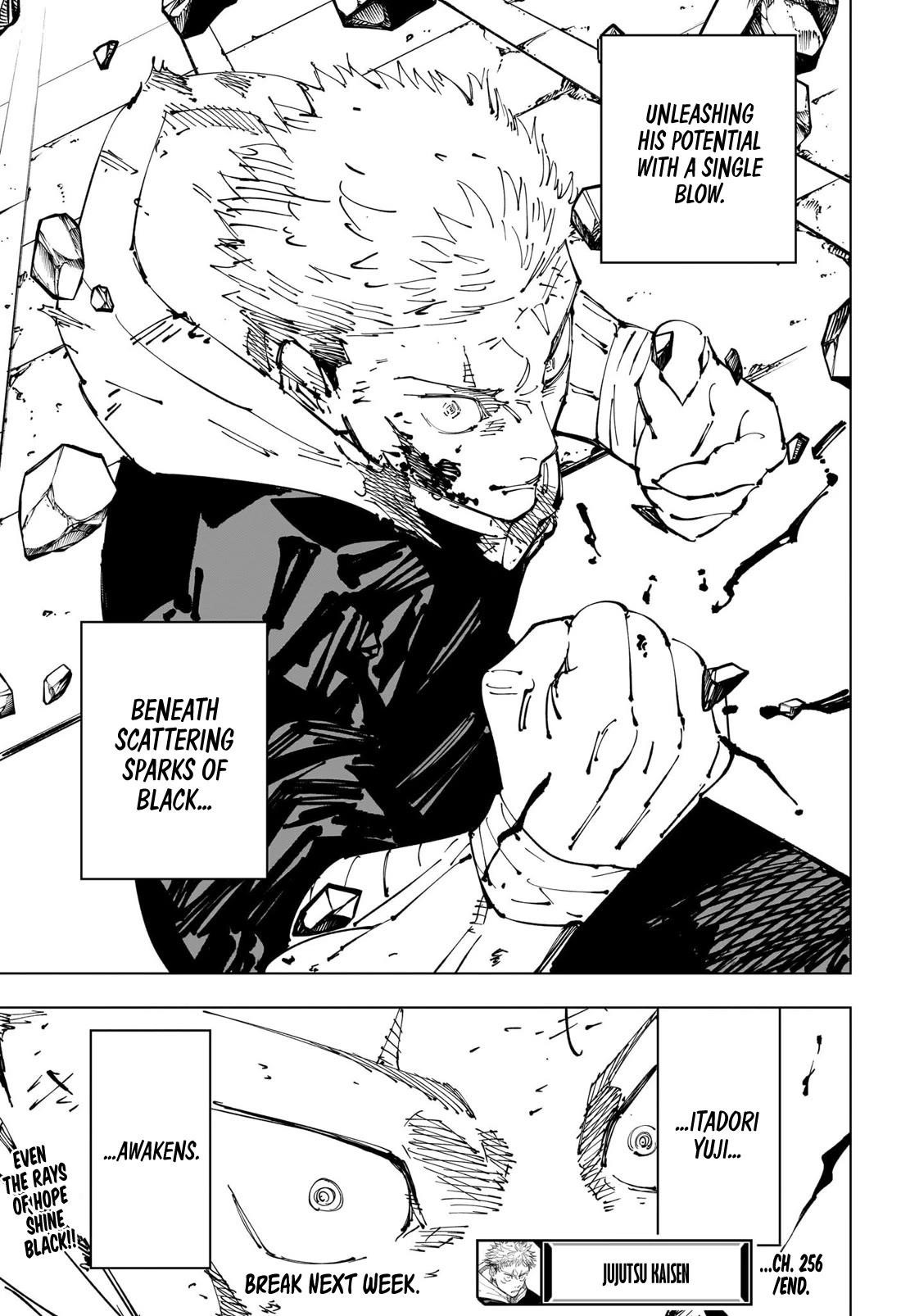 JUJUTSU KAISEN Chapter 256 - Page 19 in English