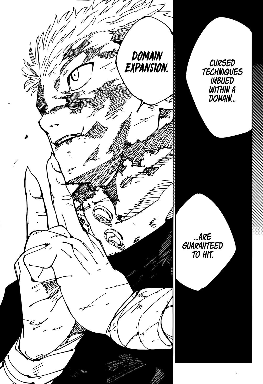 JUJUTSU KAISEN Chapter 264 - Page 17 in English