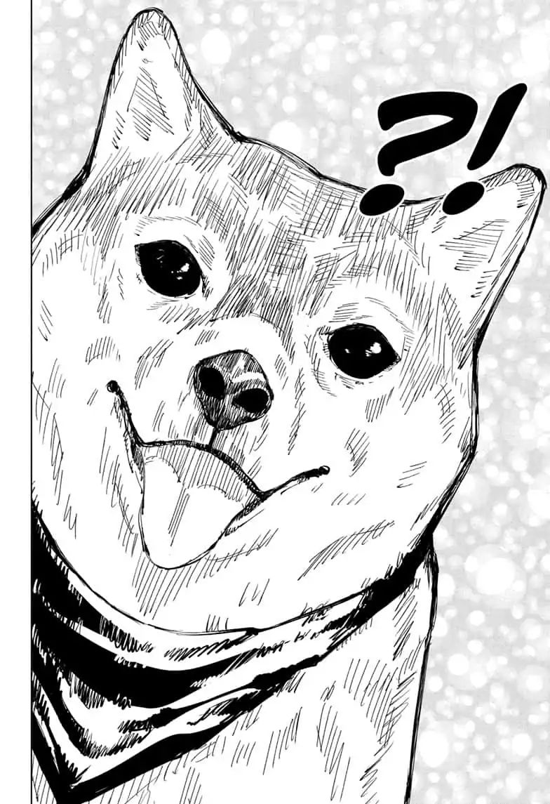 JUJUTSU KAISEN Chapter 68 - Page 12 in English