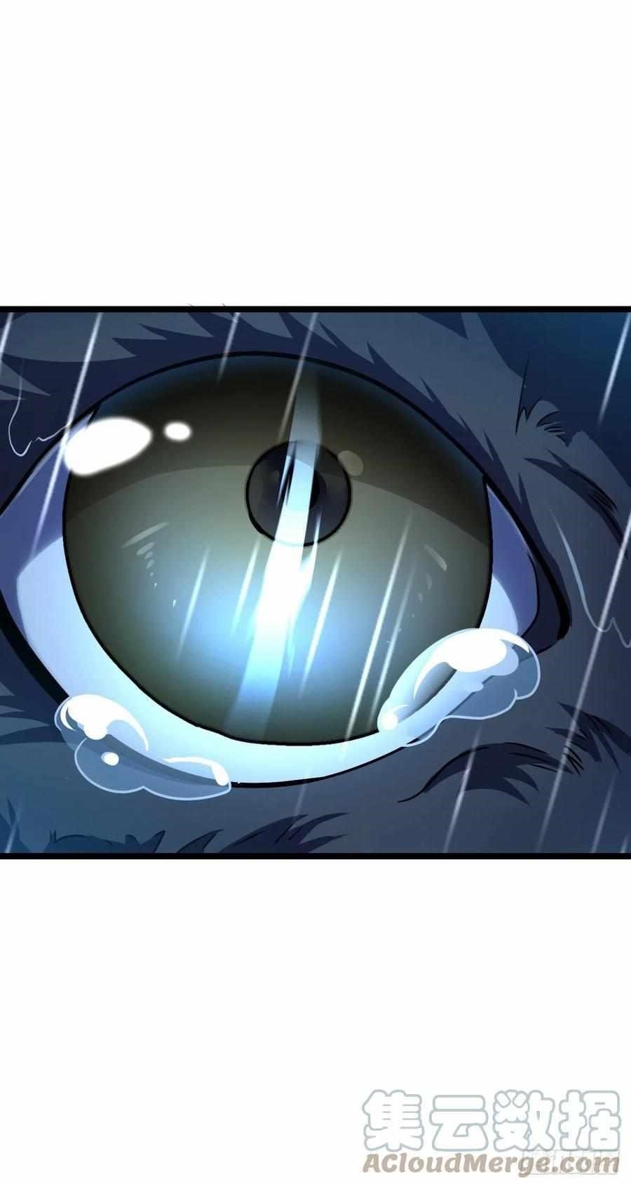 Spare Me, Great Lord! Chapter 348 - Page 40 in English