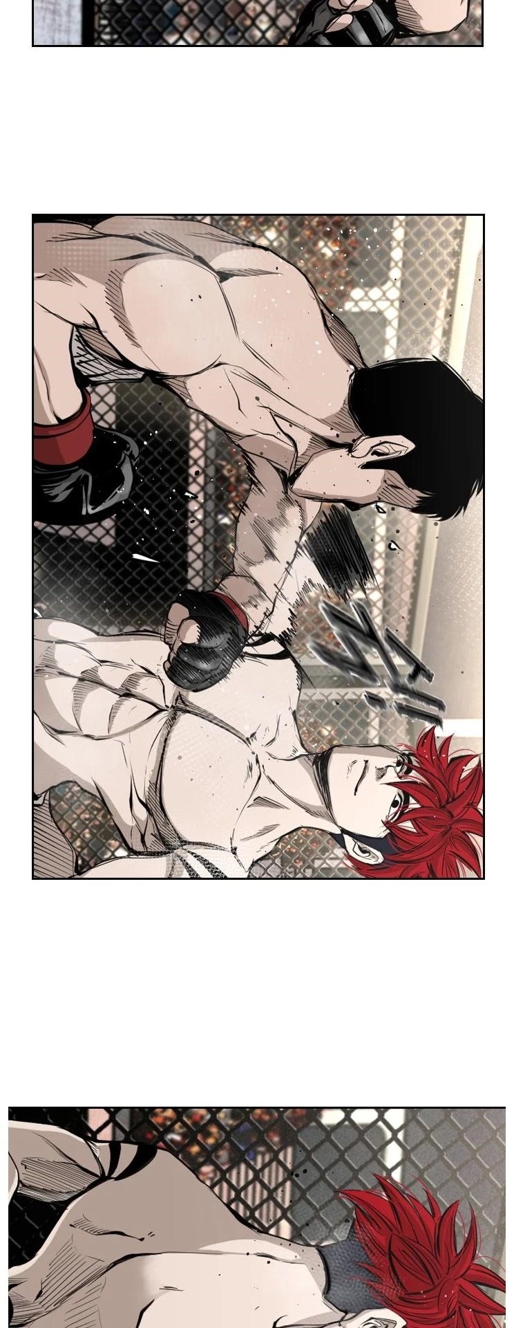 Shark Chapter 156 - Page 31 in English