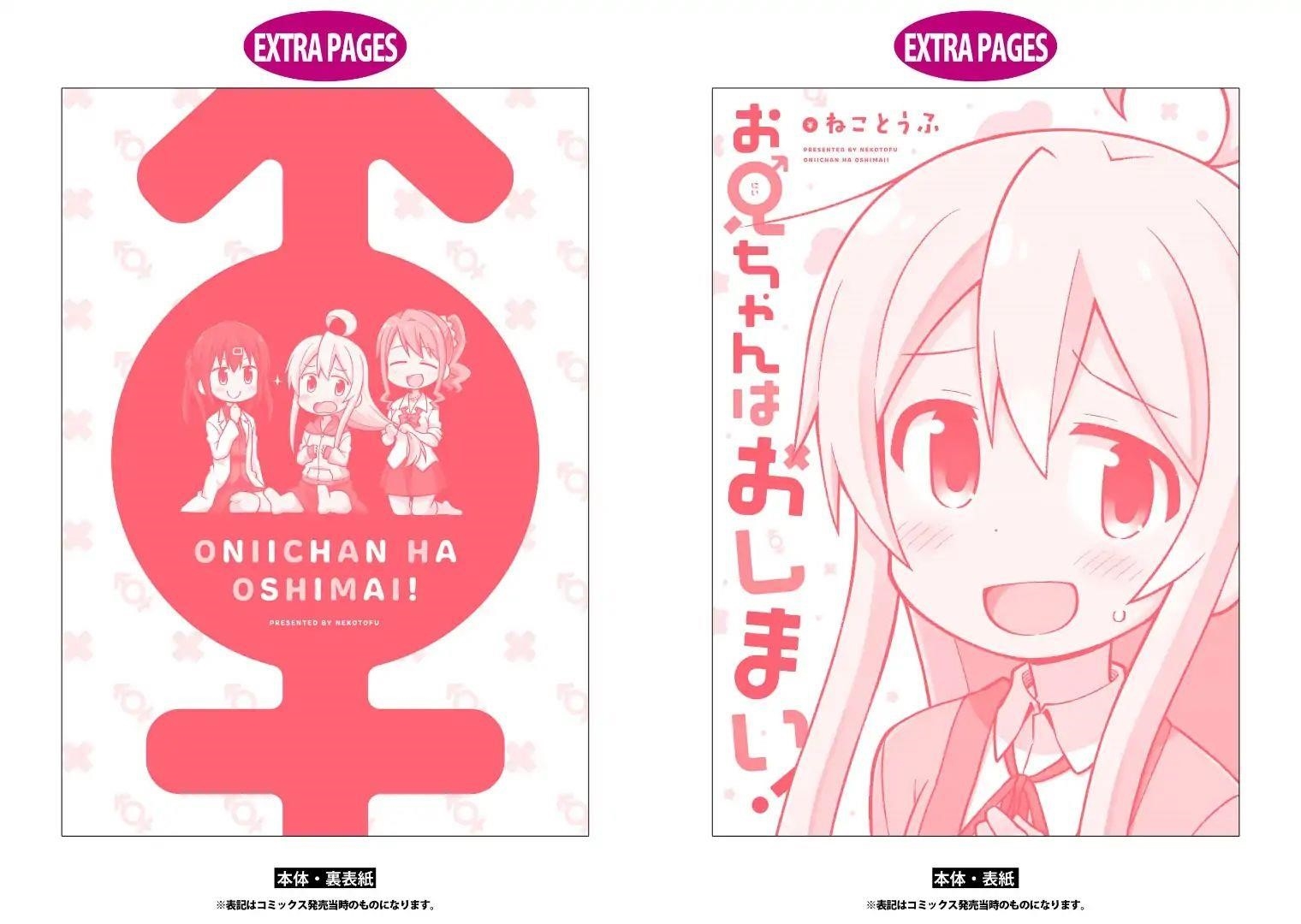 Onii-Chan Is Done For Chapter 10.9 - Page 15 in English