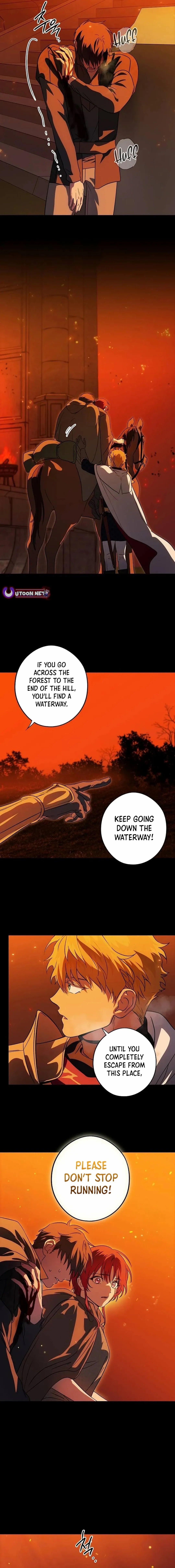 Blinded By The Setting Sun Chapter 204 - Page 5 in English