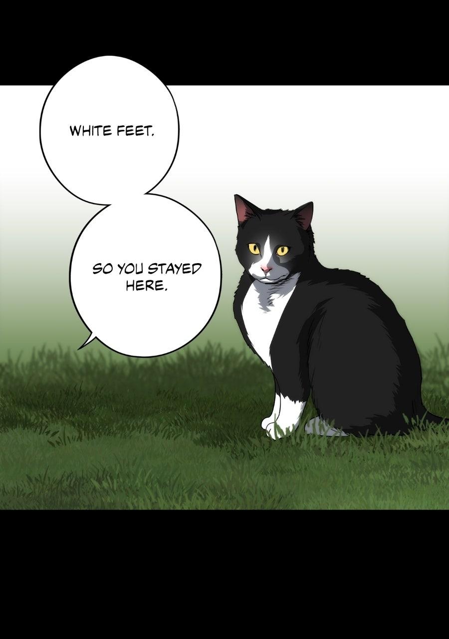 Blinded By The Setting Sun Chapter 228 - Page 42 in English