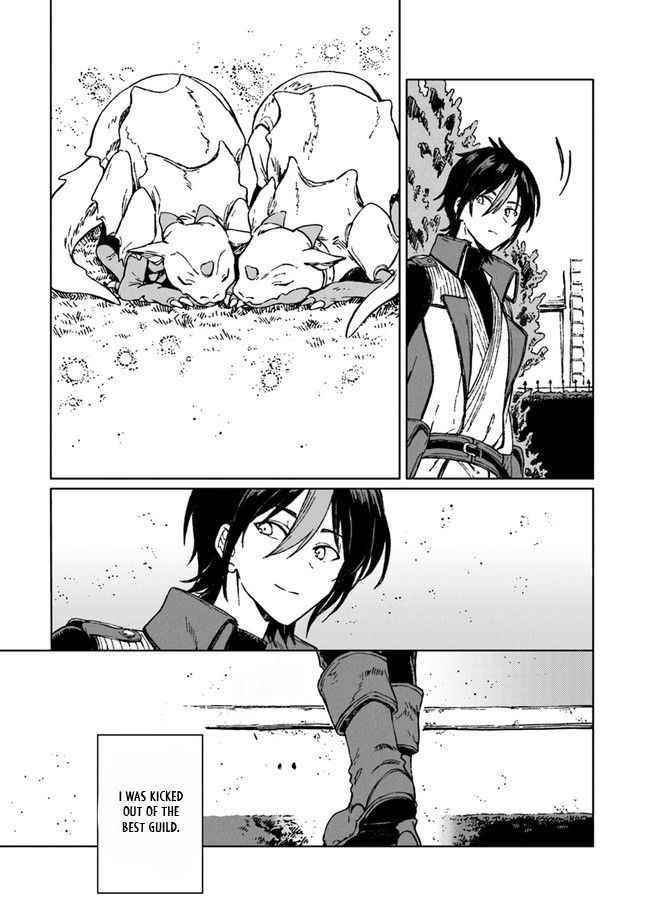 I’ve Been Kicked Out of an S-Rank Guild. But Only I Can Communicate With Dragons. Before I Knew It, I Became the Greatest Dragon Knight Chapter 1 - Page 40 in English