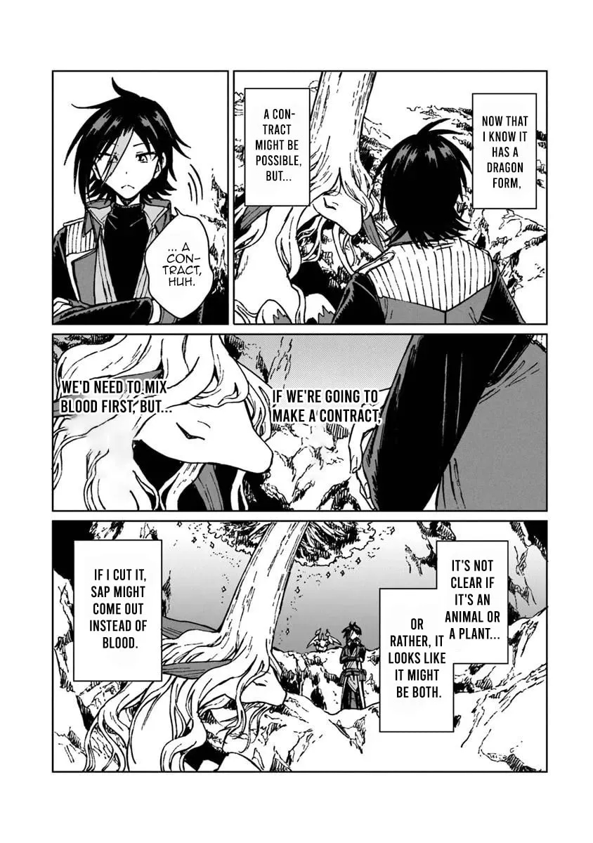I’ve Been Kicked Out of an S-Rank Guild. But Only I Can Communicate With Dragons. Before I Knew It, I Became the Greatest Dragon Knight Chapter 43.1 - Page 14 in English