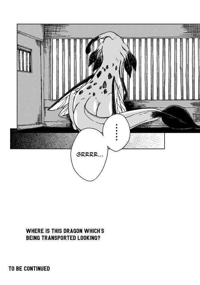 I’ve Been Kicked Out of an S-Rank Guild. But Only I Can Communicate With Dragons. Before I Knew It, I Became the Greatest Dragon Knight Chapter 5 - Page 36 in English