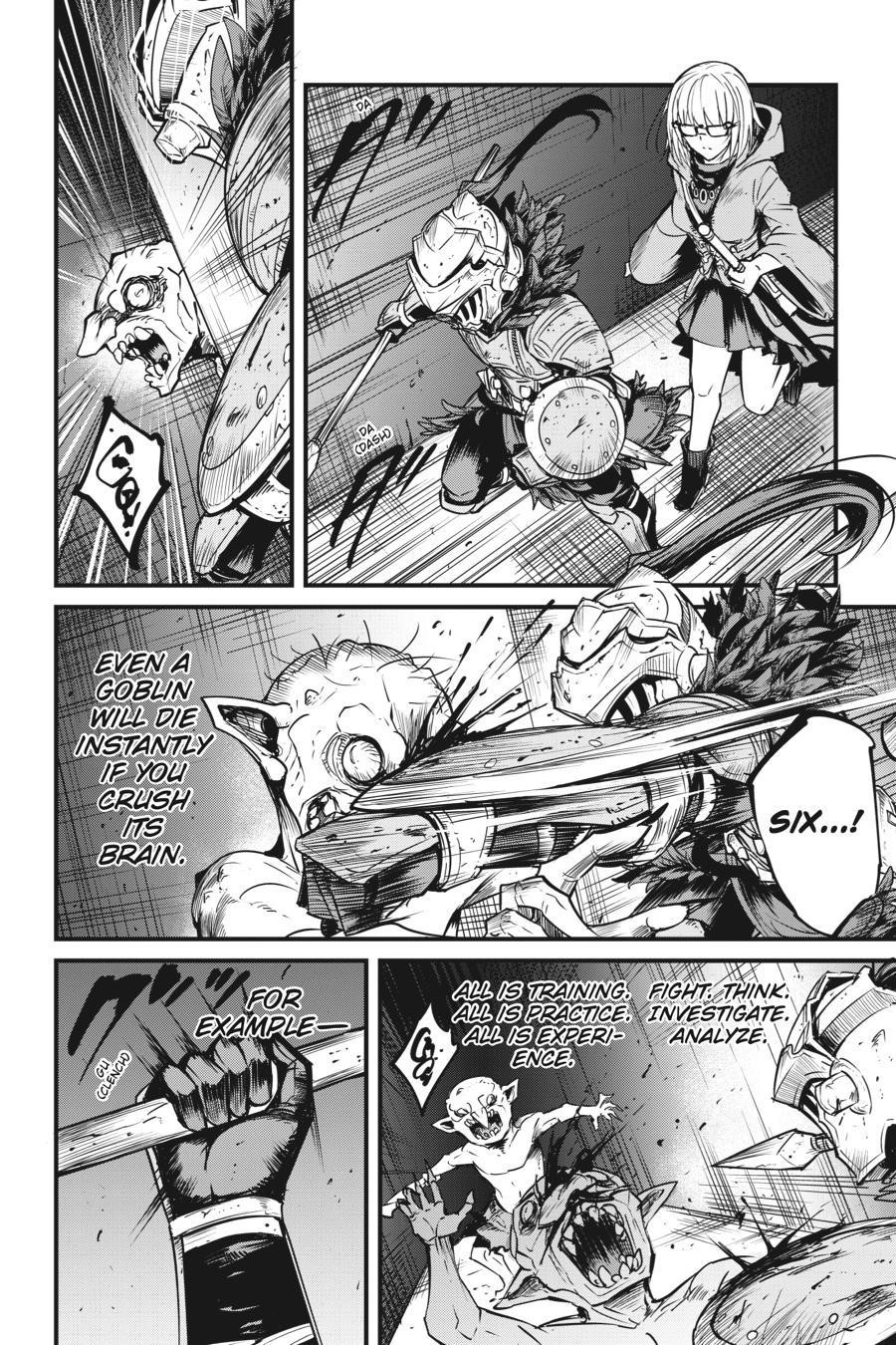 GOBLIN SLAYER: SIDE STORY YEAR ONE Chapter 38 - Page 17 in English