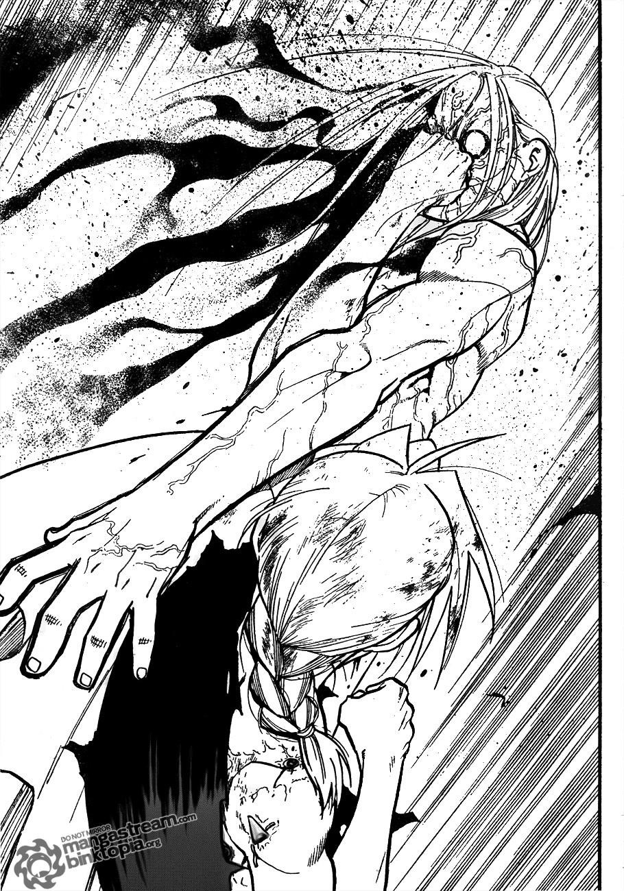 Fullmetal Alchemist Chapter 107 - Page 67 in English