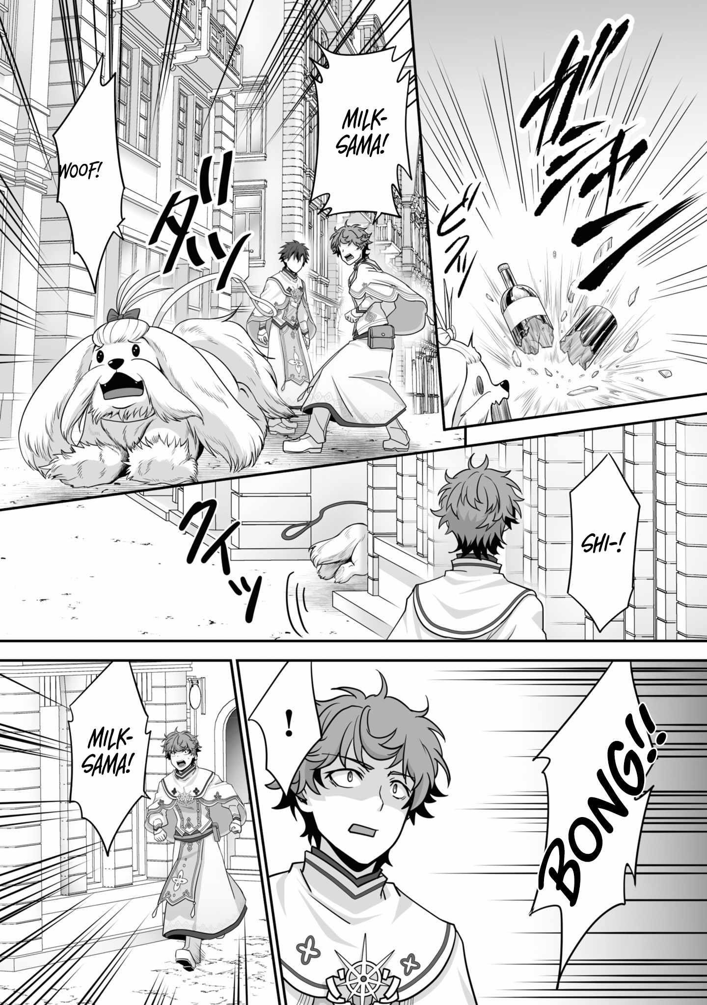 The Brilliant Healer’s New Life in the Shadows Chapter 19.3 - Page 9 in English