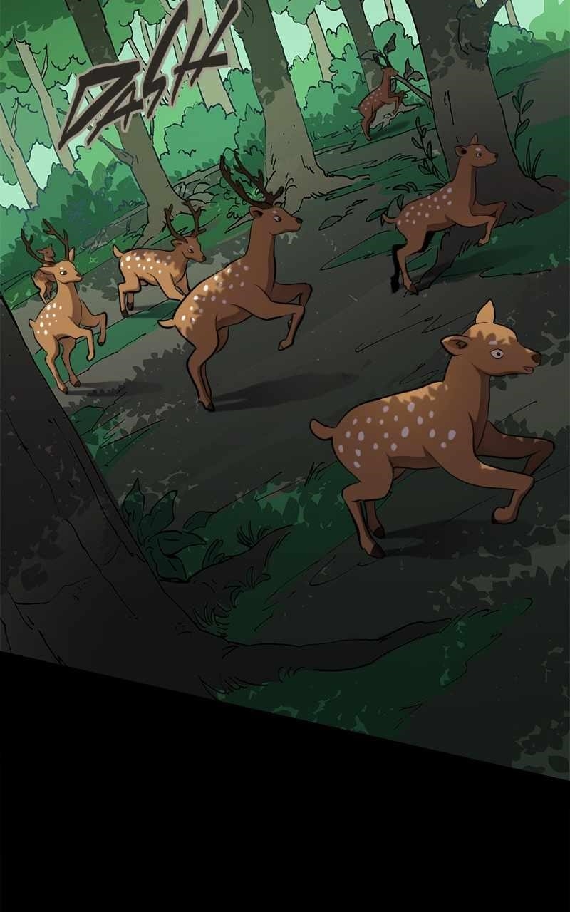 Primal Hunter Chapter 14 - Page 8 in English