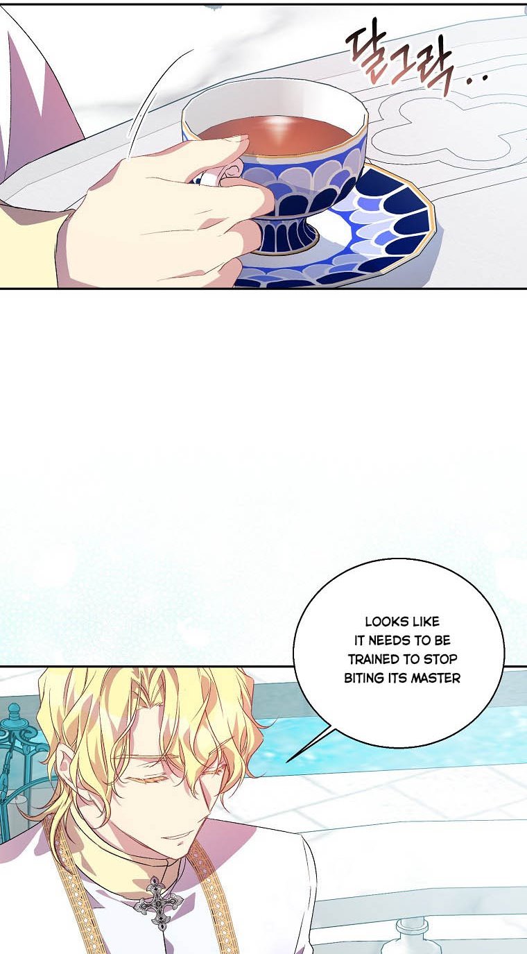 I’M A Fake Saintess But The Gods Are Obsessed Chapter 14 - Page 37 in English