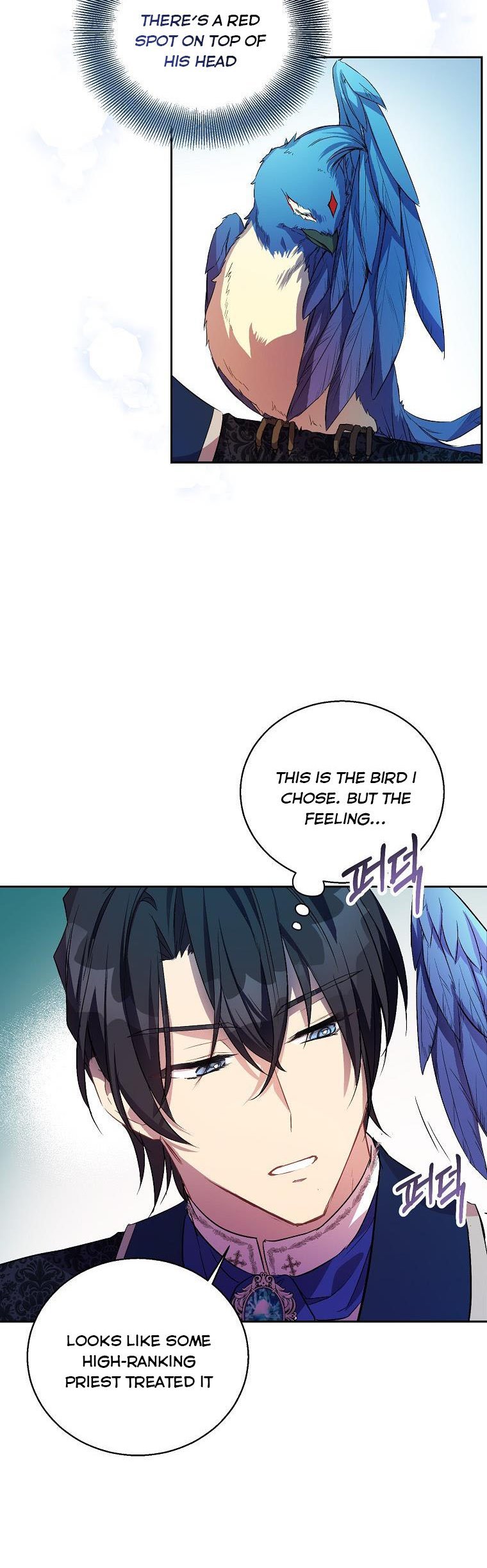 I’M A Fake Saintess But The Gods Are Obsessed Chapter 15 - Page 9 in English