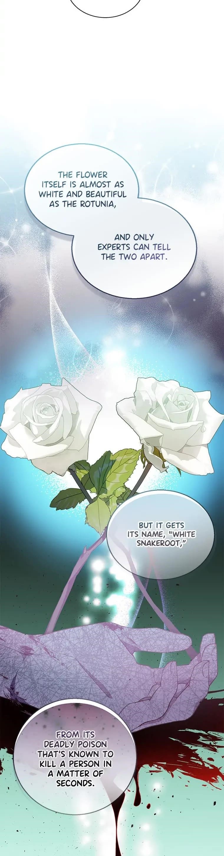 I’M A Fake Saintess But The Gods Are Obsessed Chapter 34 - Page 24 in English