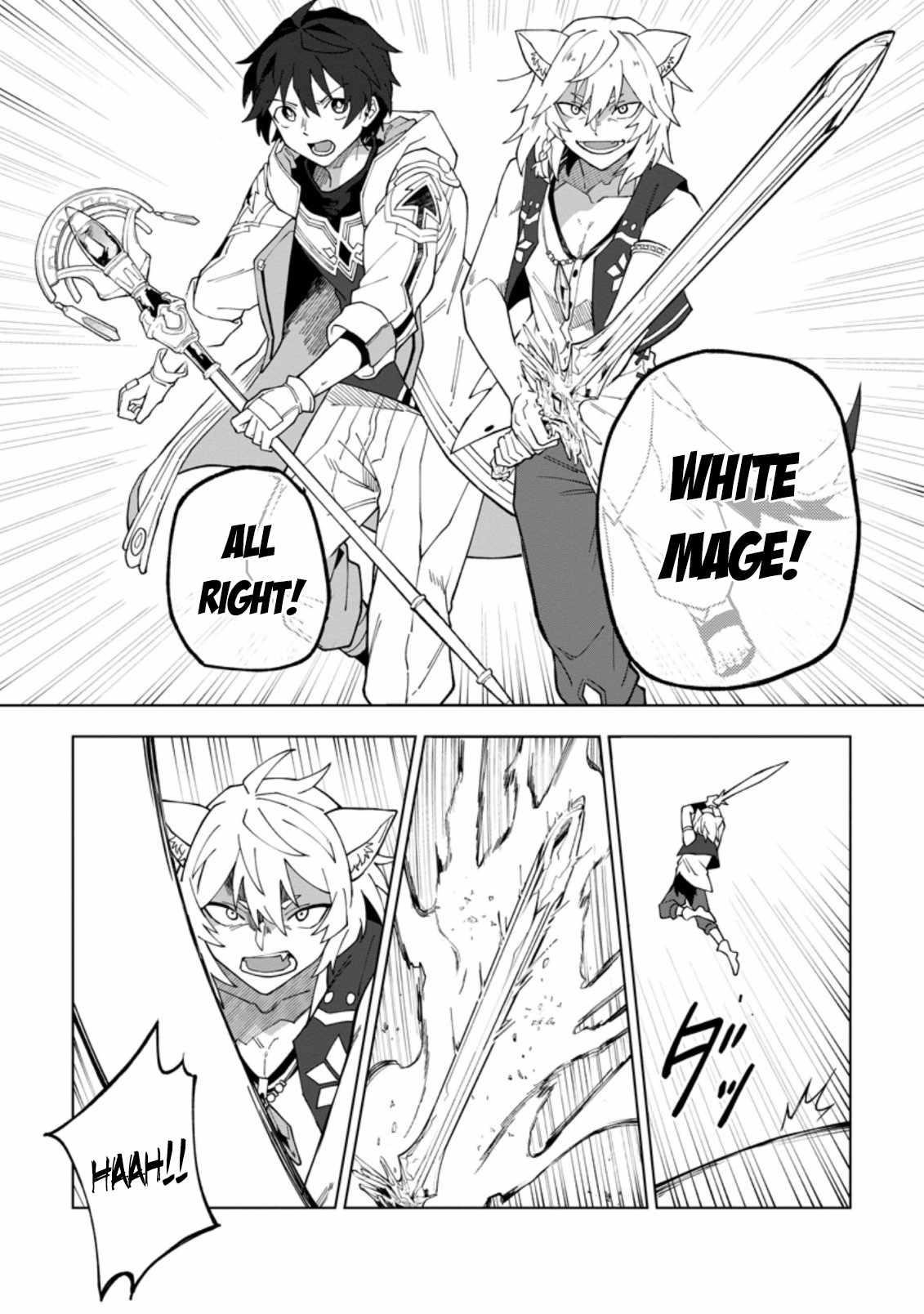 The White Mage Who Was Banished From the Hero’s Party Is Picked up by an S Rank Adventurer ~ This White Mage Is Too Out of the Ordinary! Chapter 18.1 - Page 10 in English