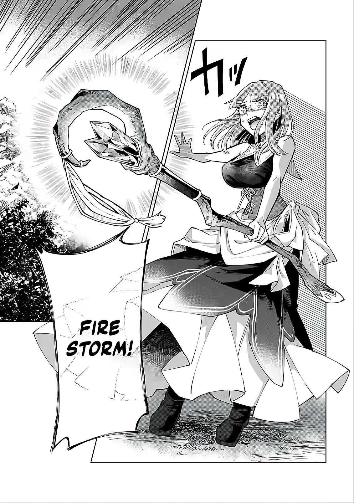 The White Mage Who Was Banished From the Hero’s Party Is Picked up by an S Rank Adventurer ~ This White Mage Is Too Out of the Ordinary! Chapter 4 - Page 17 in English