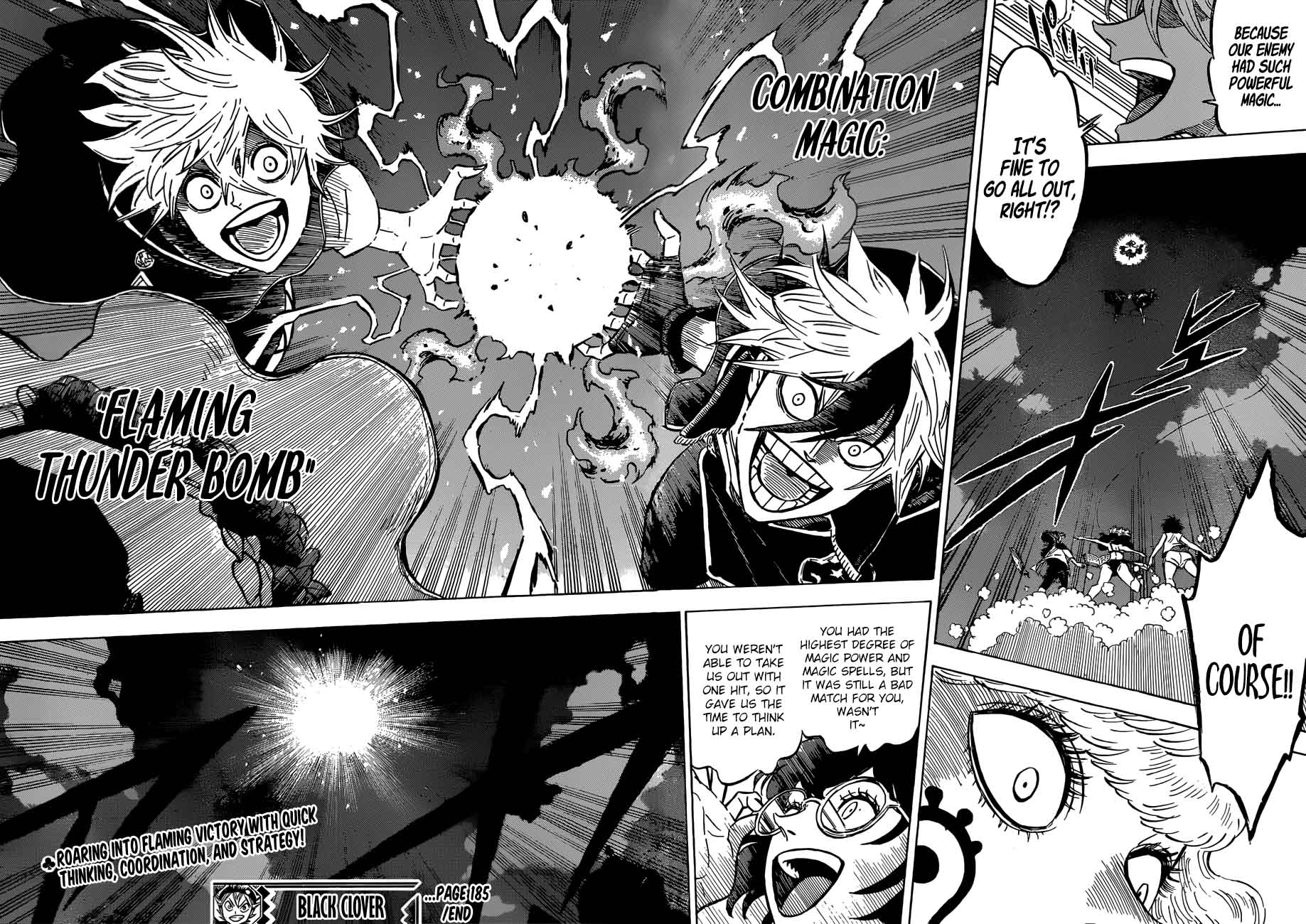 BLACK CLOVER Chapter 185 - Page 13 in English
