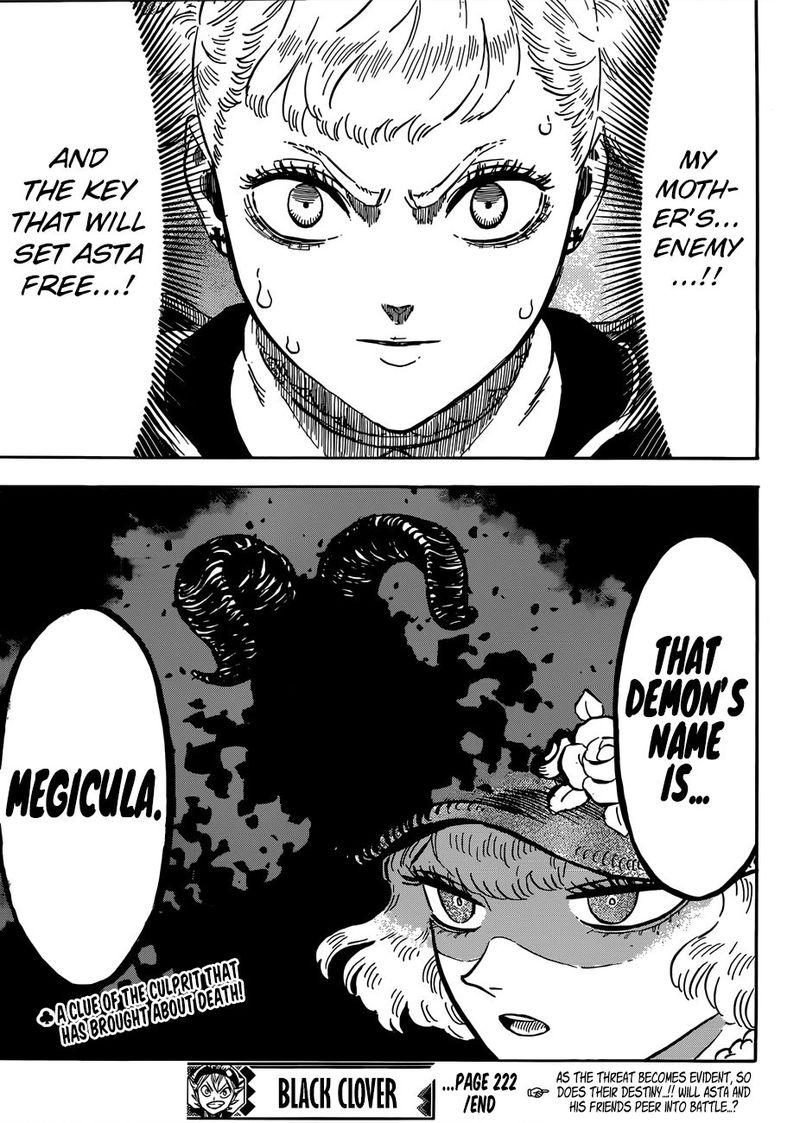 BLACK CLOVER Chapter 222 - Page 14 in English