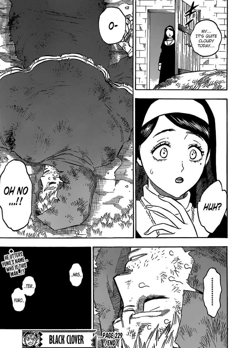 BLACK CLOVER Chapter 229 - Page 15 in English