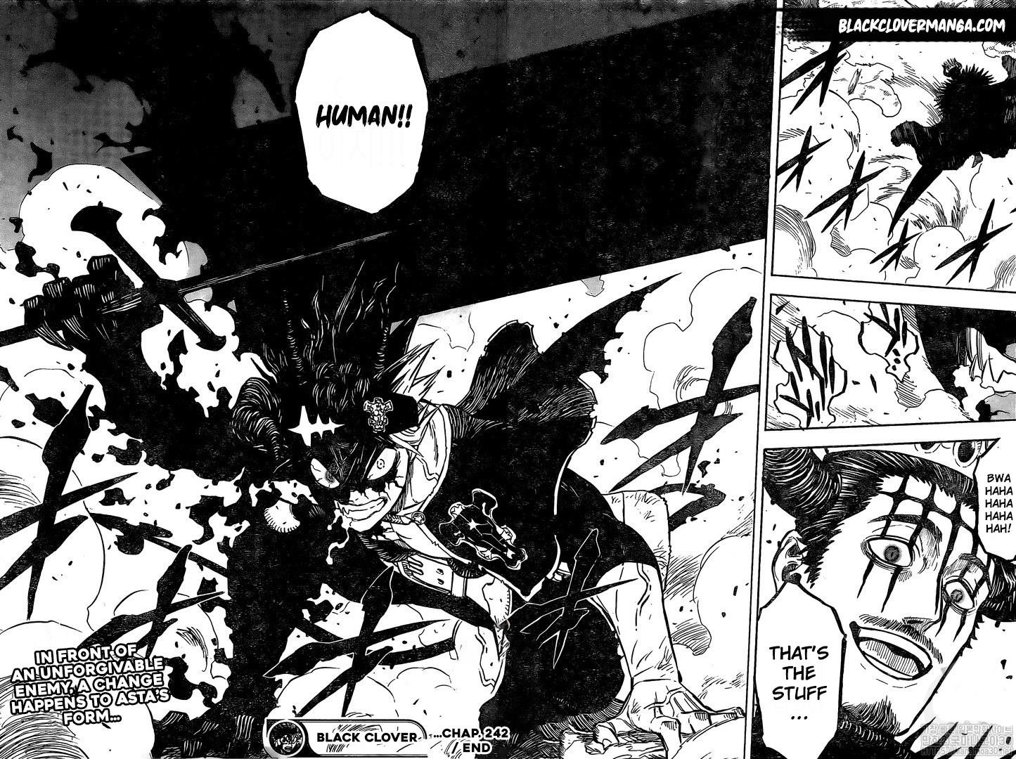 BLACK CLOVER Chapter 242 - Page 16 in English