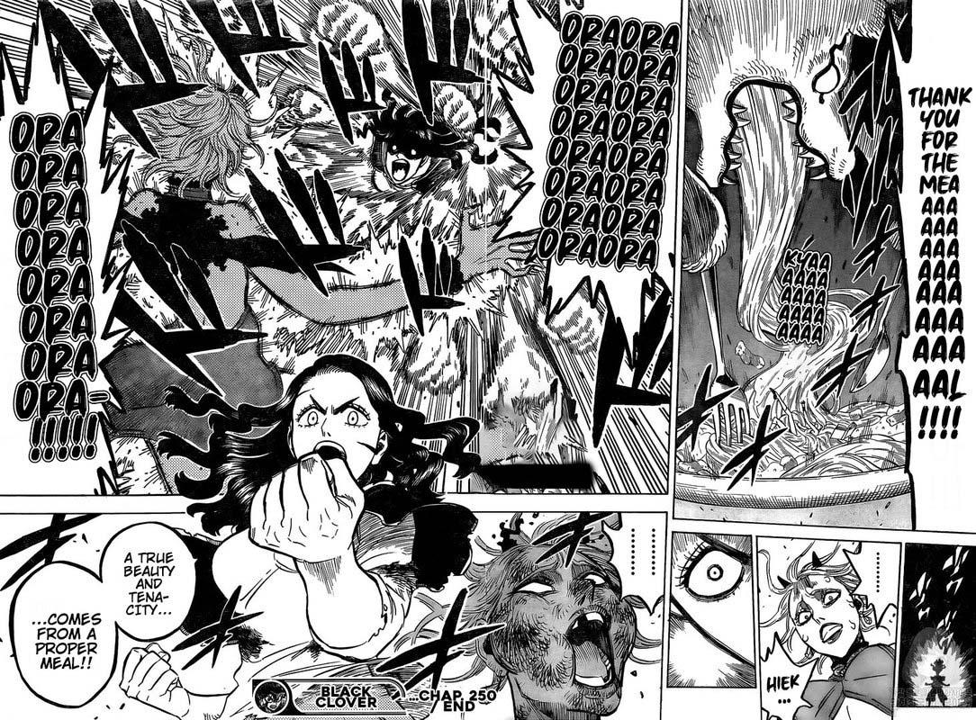 BLACK CLOVER Chapter 250 - Page 13 in English