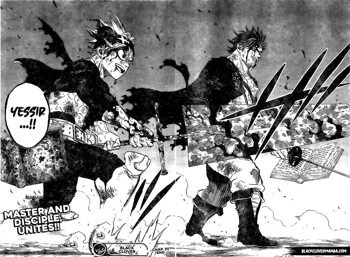 BLACK CLOVER Chapter 257 - Page 12 in English