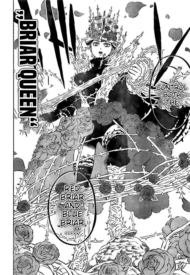 BLACK CLOVER Chapter 277 - Page 13 in English