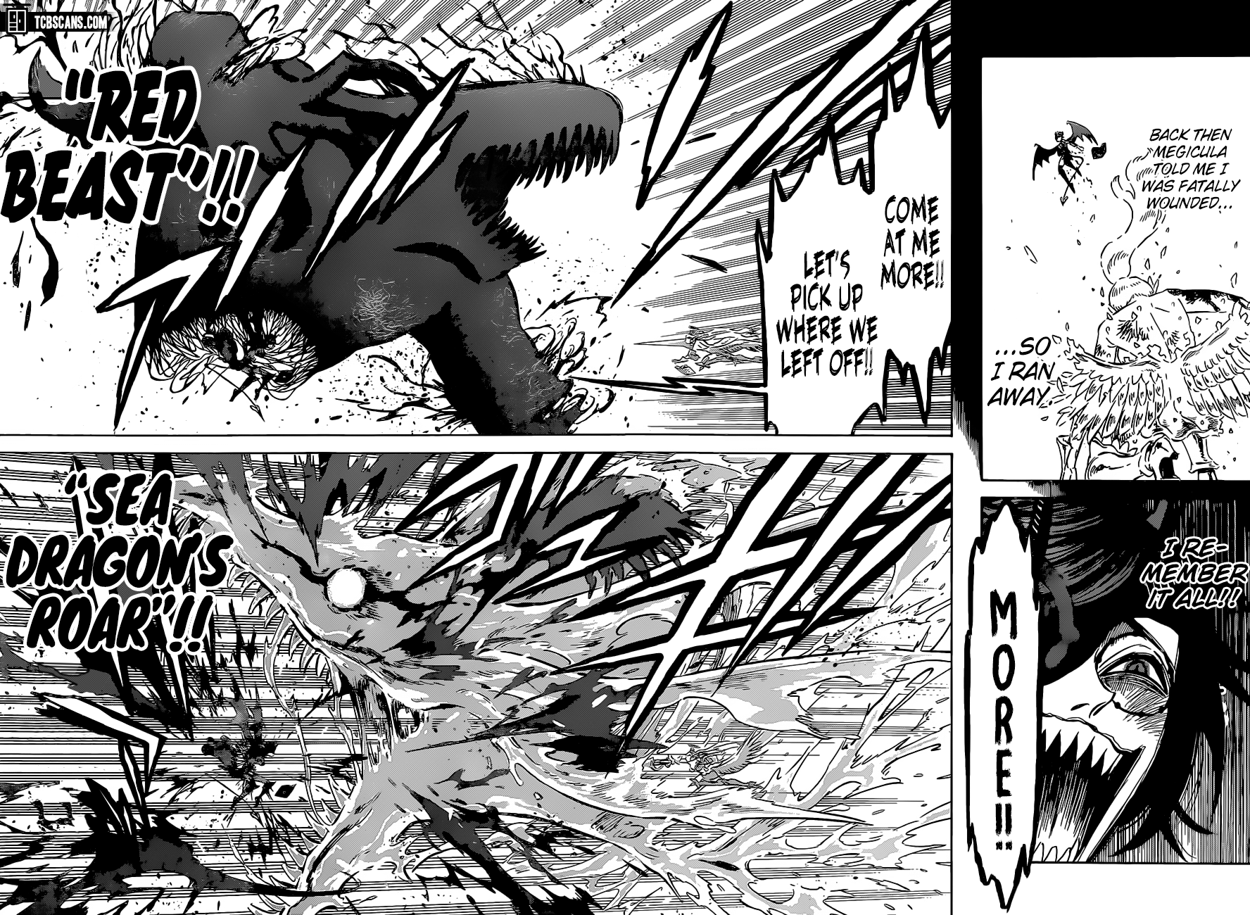 BLACK CLOVER Chapter 296 - Page 11 in English