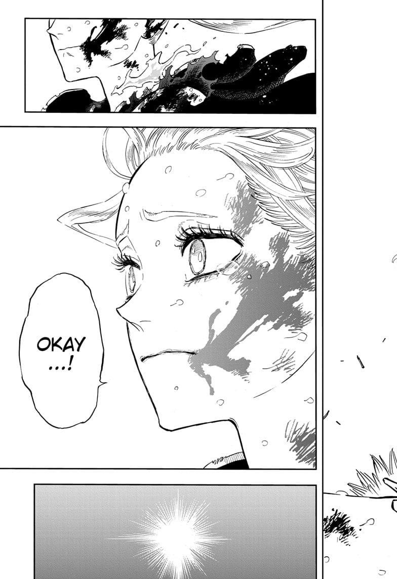 BLACK CLOVER Chapter 373 - Page 17 in English