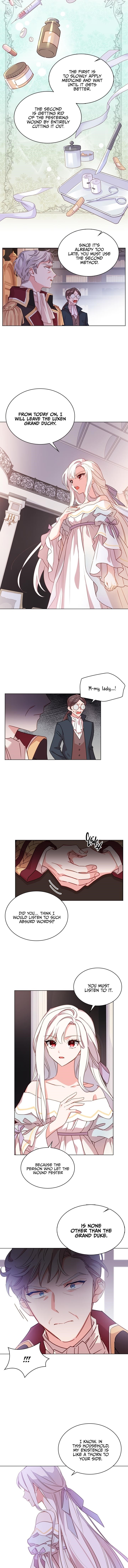The Lady Wants to Rest Chapter 3 - Page 7 in English