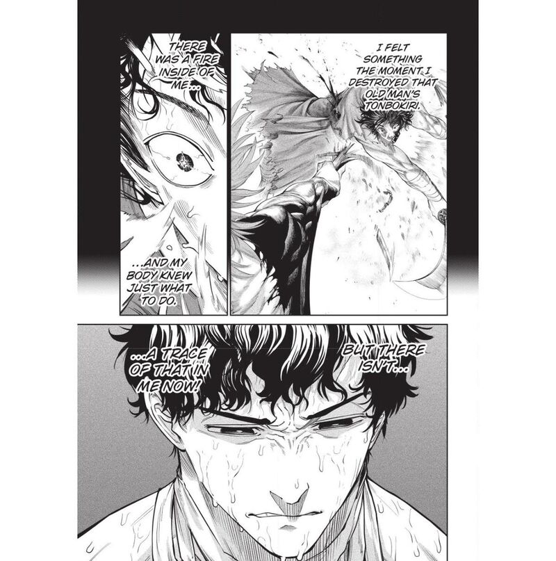 Tenkaichi: Battle to Decide Japan’s Strongest Martial Artist Chapter 59 - Page 29 in English