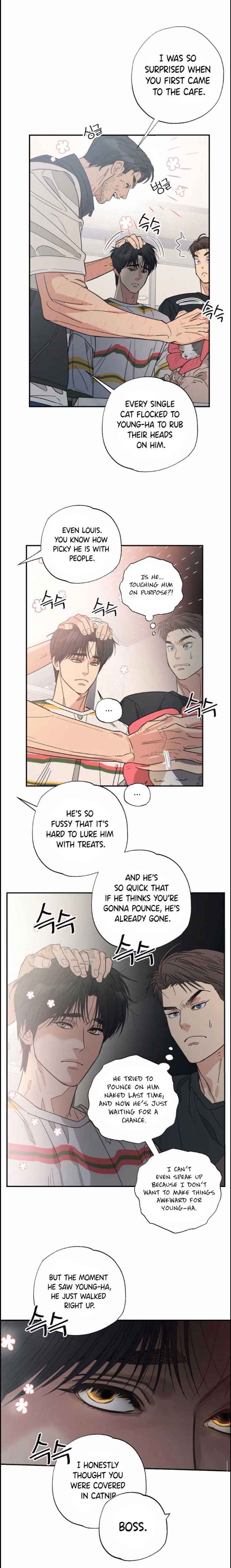 Cat Choice Chapter 10 - Page 3 in English