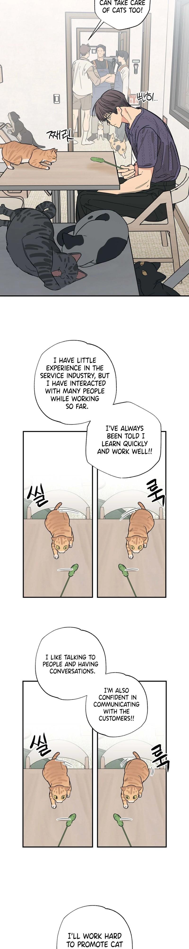 Cat Choice Chapter 12 - Page 12 in English