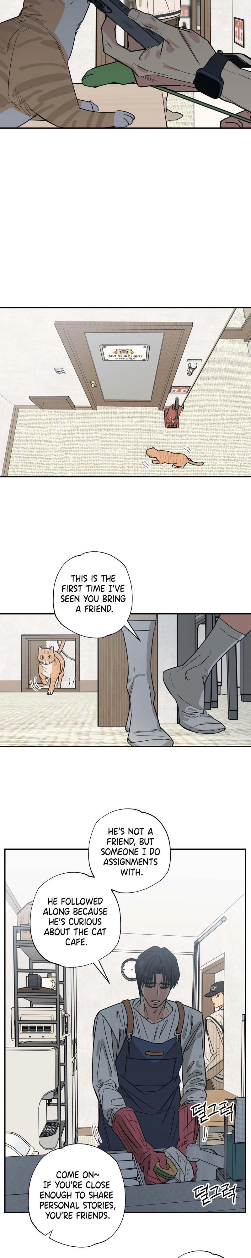Cat Choice Chapter 12 - Page 15 in English