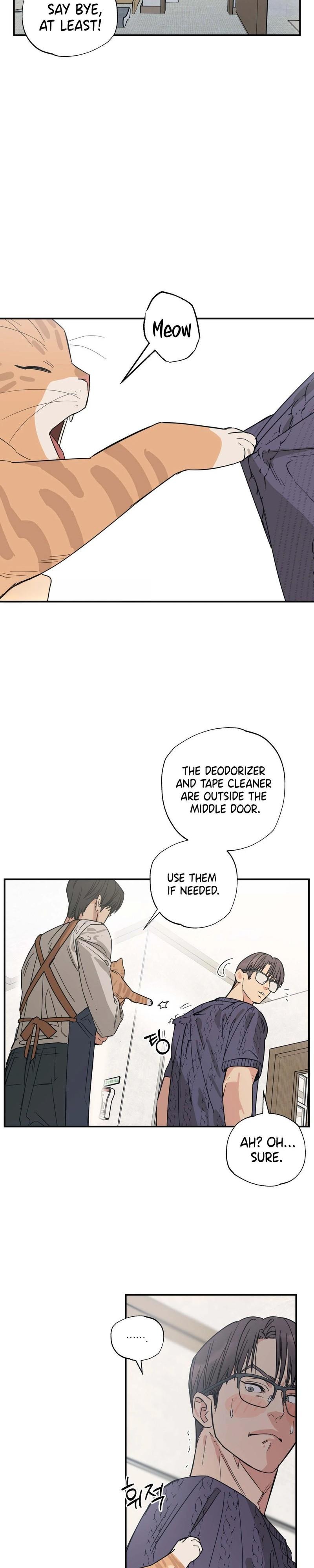 Cat Choice Chapter 12 - Page 19 in English