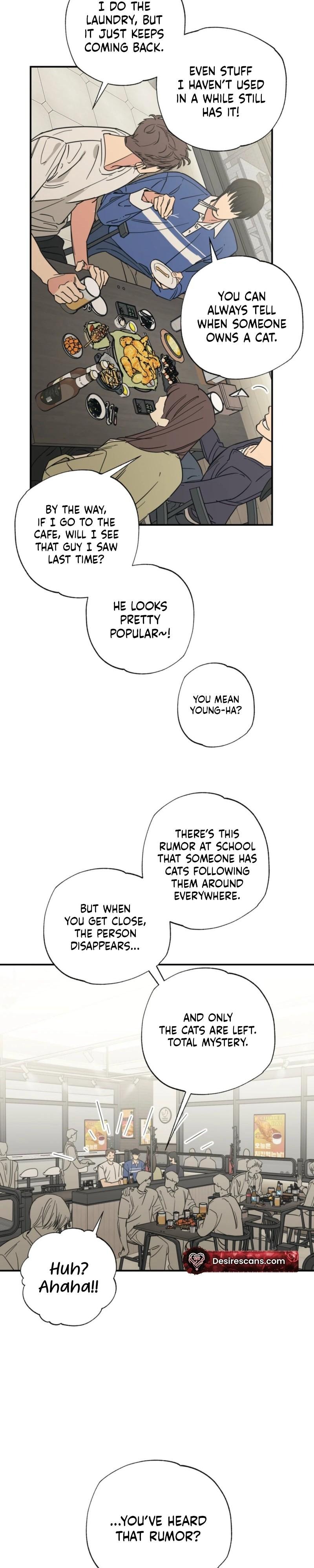 Cat Choice Chapter 13 - Page 9 in English