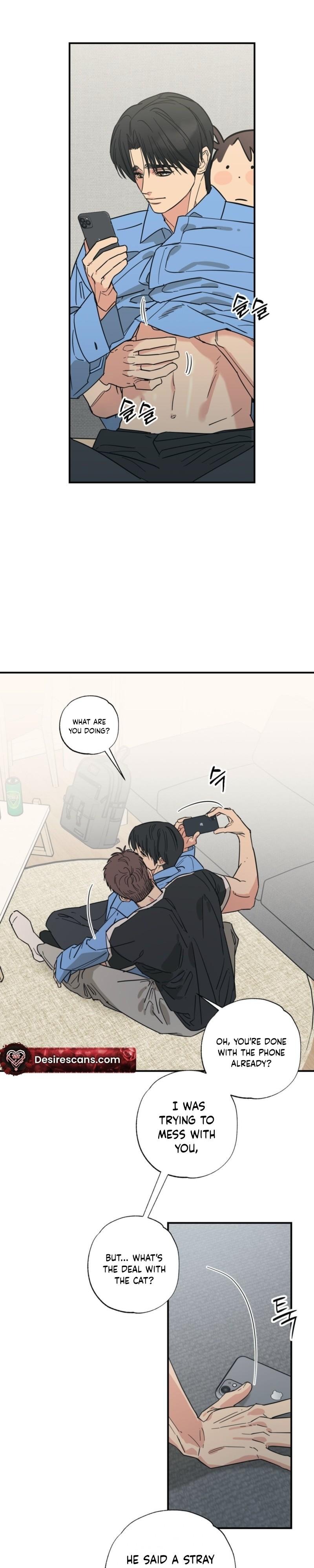 Cat Choice Chapter 15 - Page 14 in English