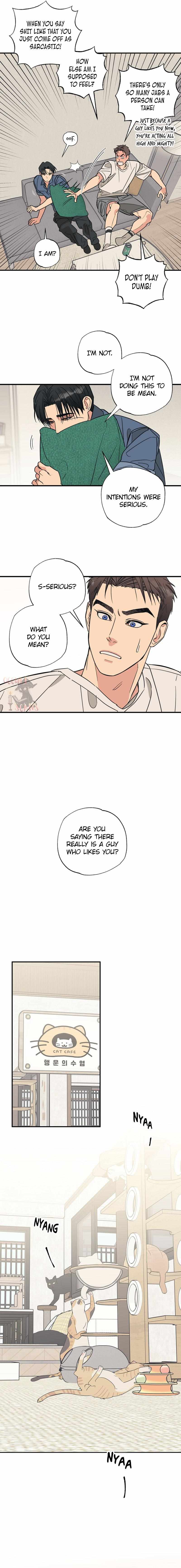 Cat Choice Chapter 2 - Page 25 in English