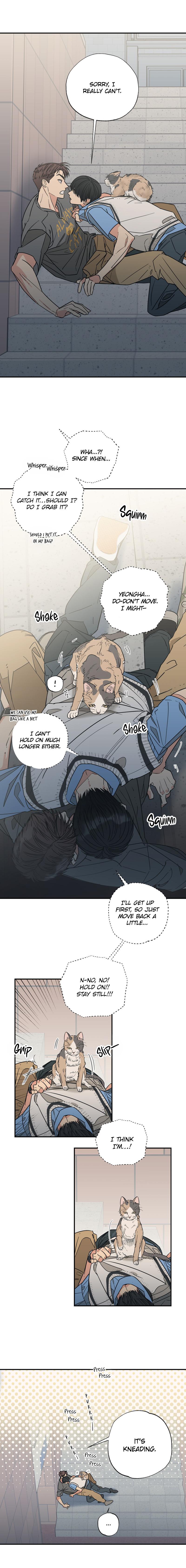 Cat Choice Chapter 7 - Page 7 in English