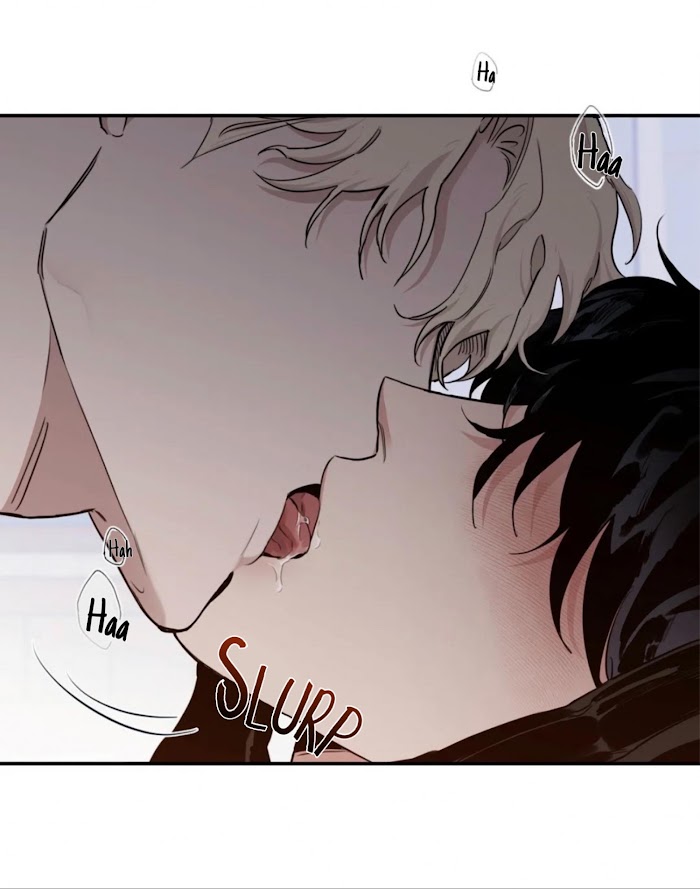 Roses And Champagne [paw] Chapter 29 - Page 4 in English