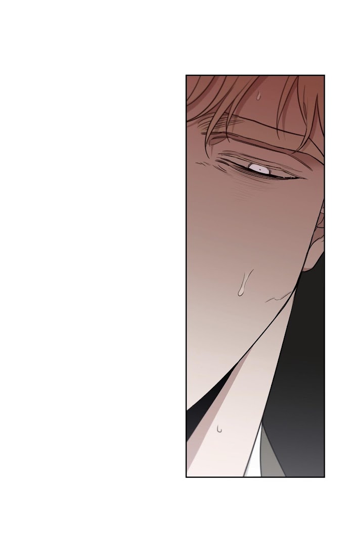 Roses And Champagne [paw] Chapter 34 - Page 39 in English