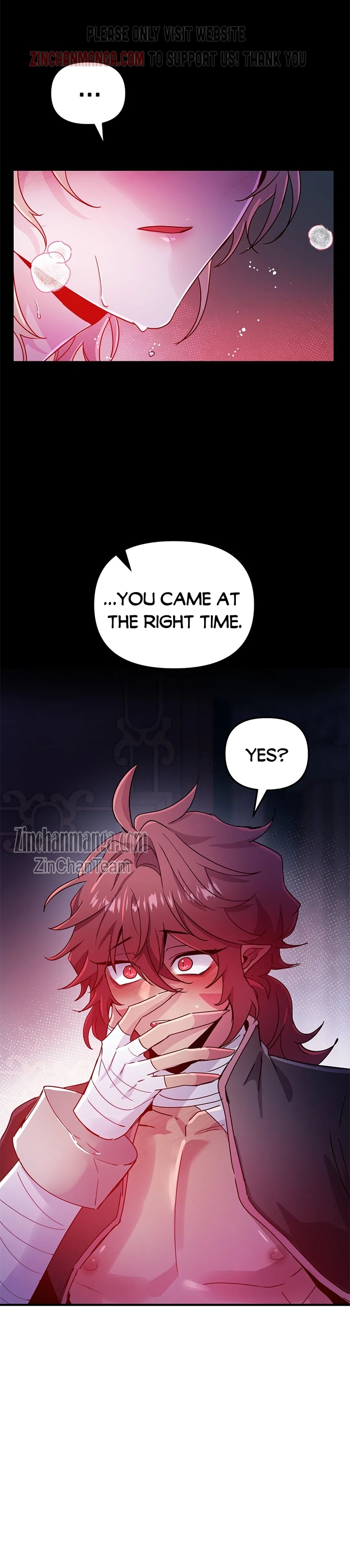 Dark fall Chapter 33.5 - Page 14 in English