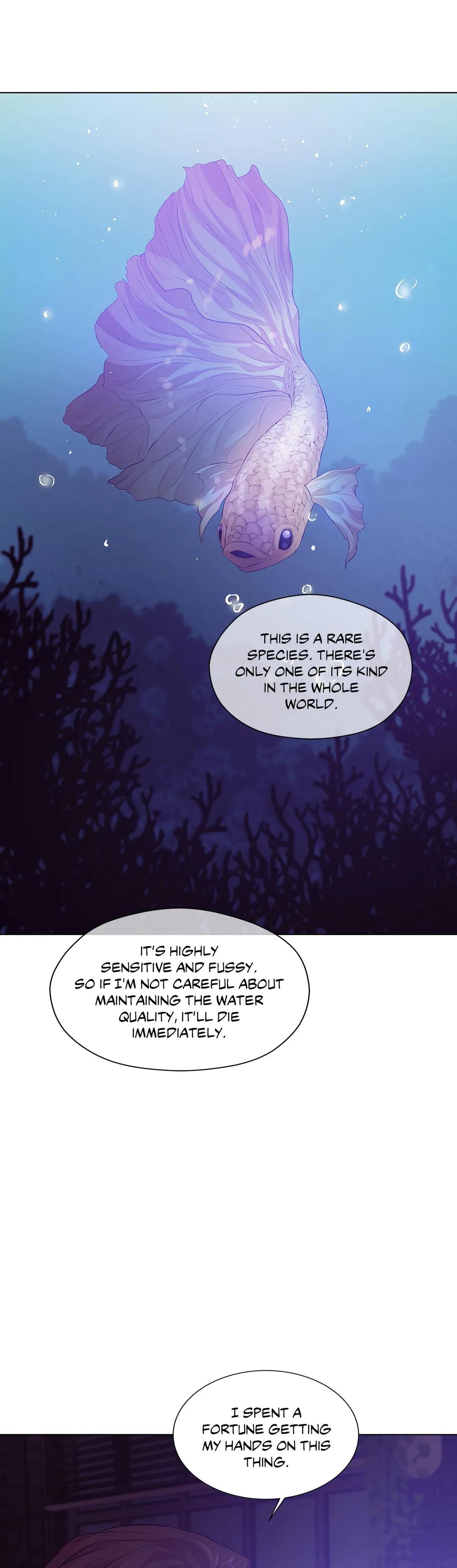 Seashell Boy Chapter 29 - Page 22 in English