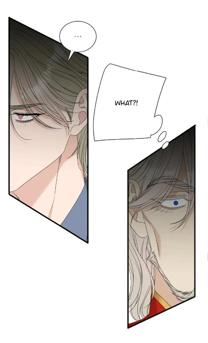 SMYRNA & CAPRI Chapter 56 - Page 42 in English