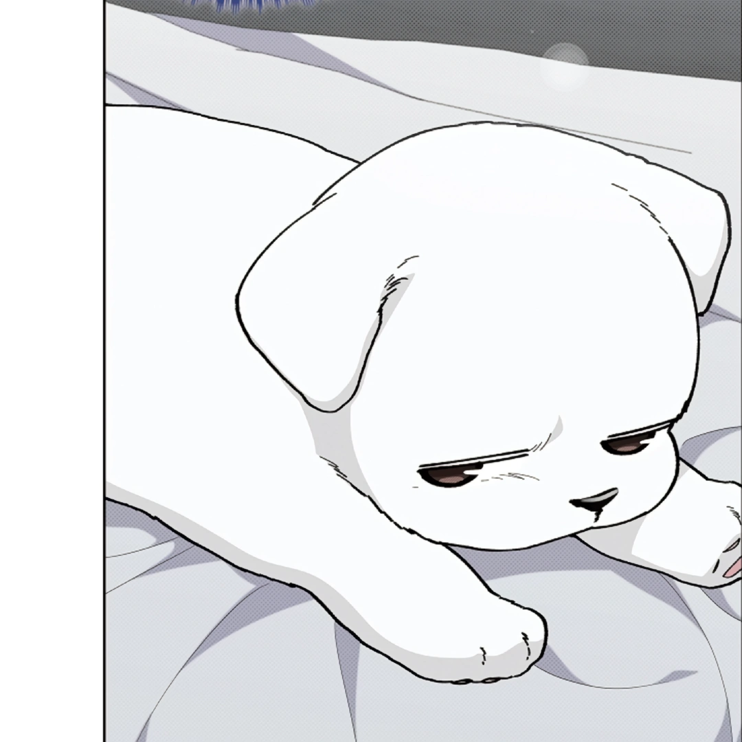 Don’t Mess With the Puppy! Chapter 13 - Page 107 in English
