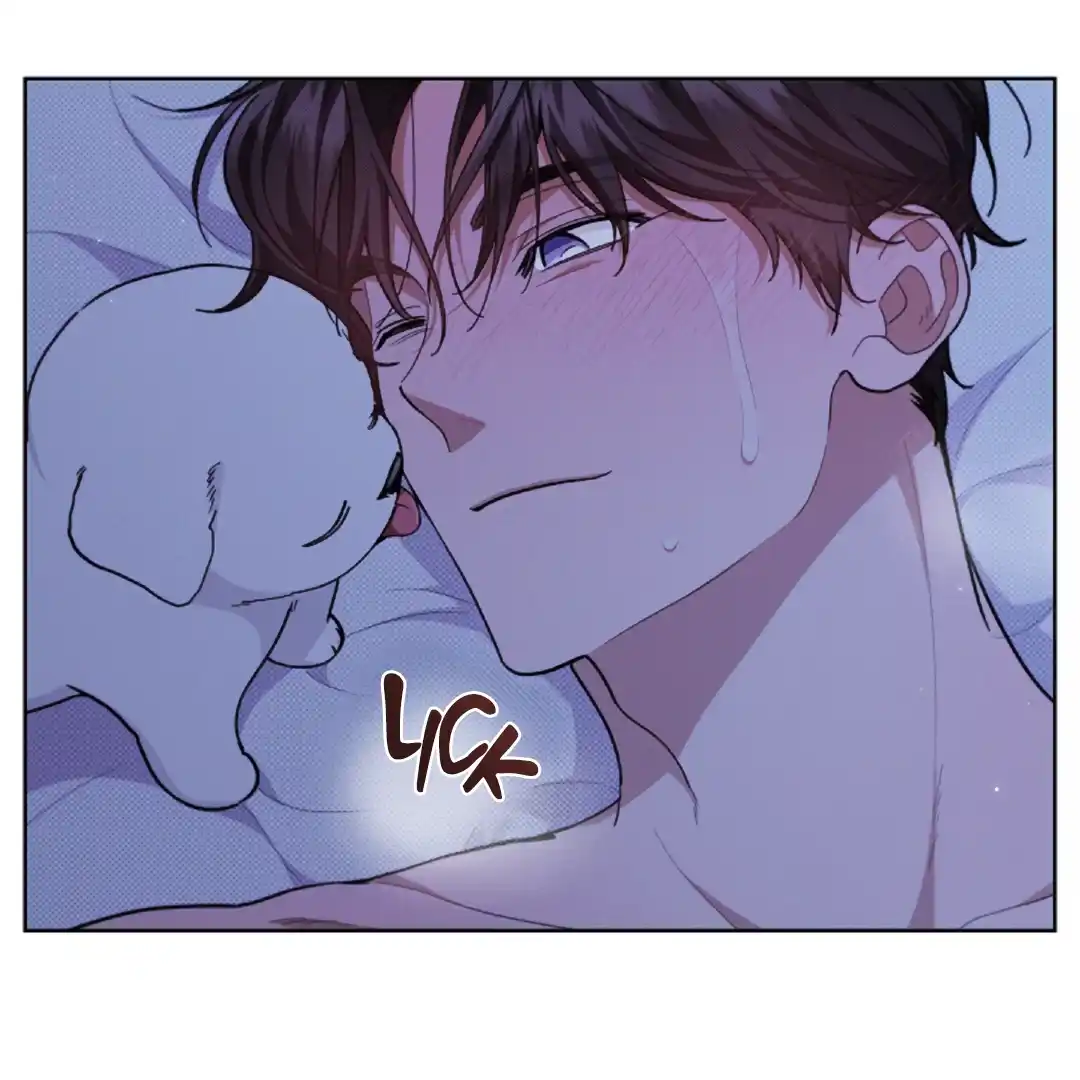 Don’t Mess With the Puppy! Chapter 13 - Page 13 in English